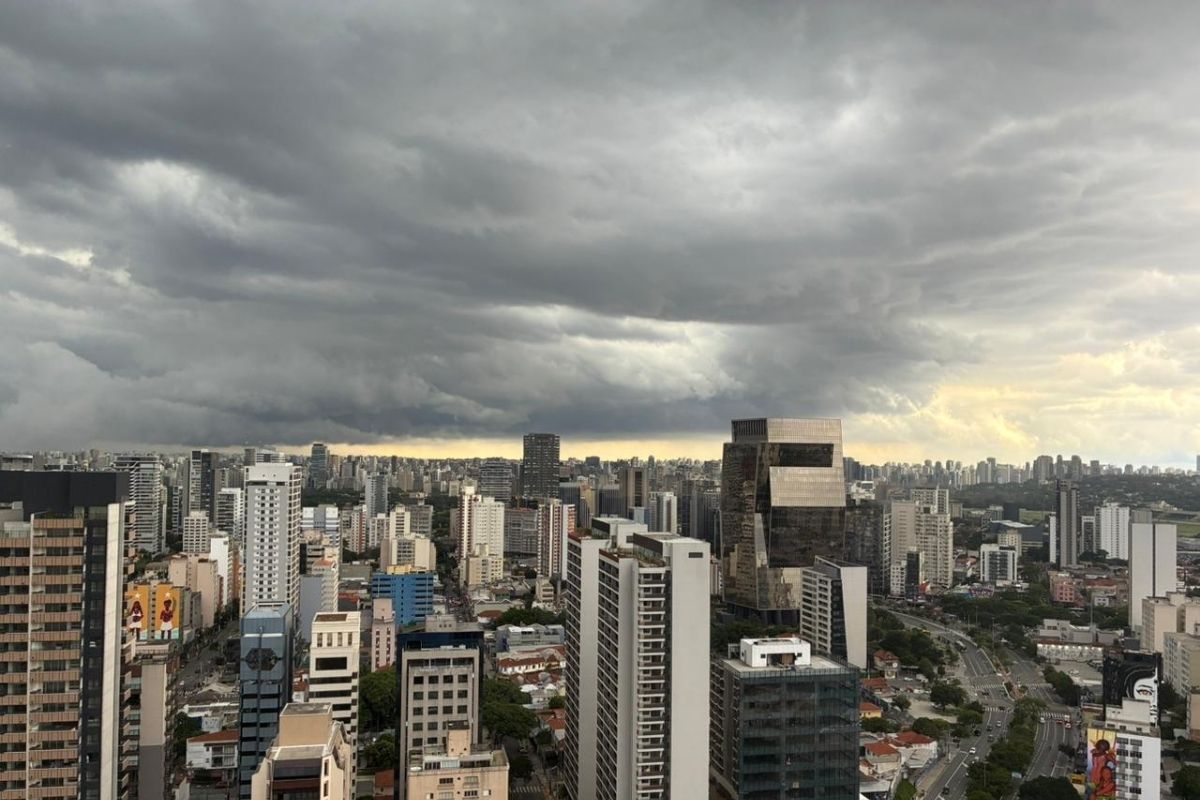 Em 10 horas, SP tem 79 quedas de árvore, 5 desabamentos e um desmoronamento - QTU Questões do Universo