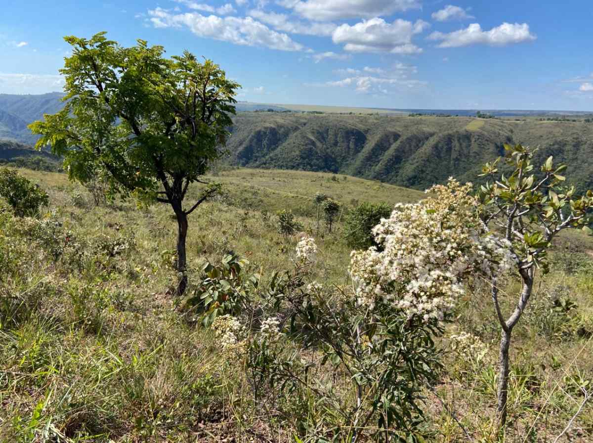 Fazenda Roncador tem uma das vistas mais bonitas do Distrito Federal