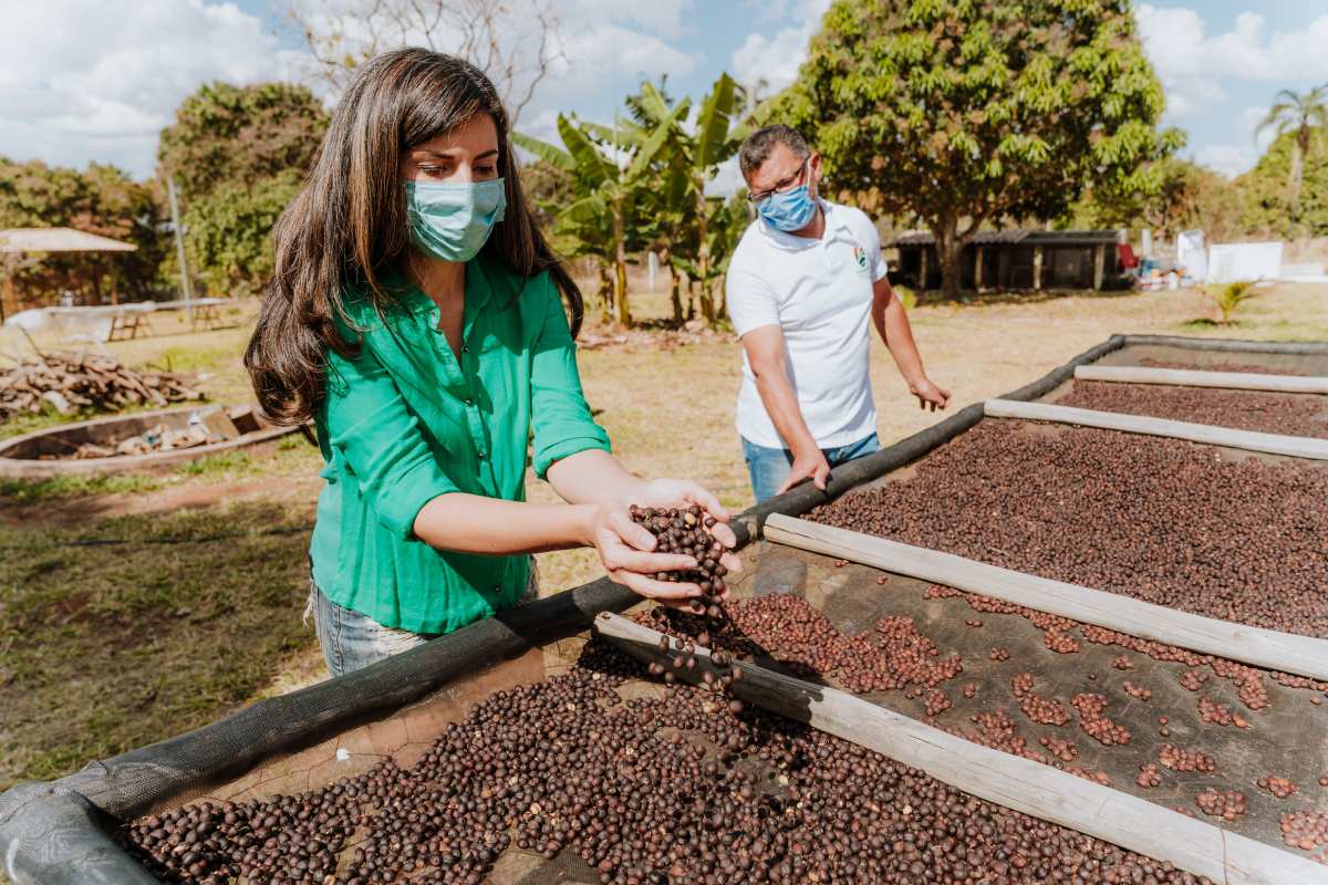 Saiba onde estão as melhores cafeterias com o Mapa Afetivo dos Cafés