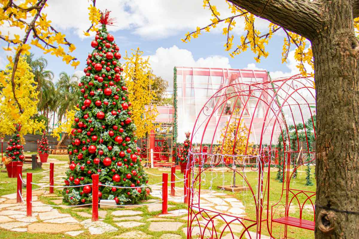 Veja em primeira mão detalhes exclusivos do Natal do Pontão