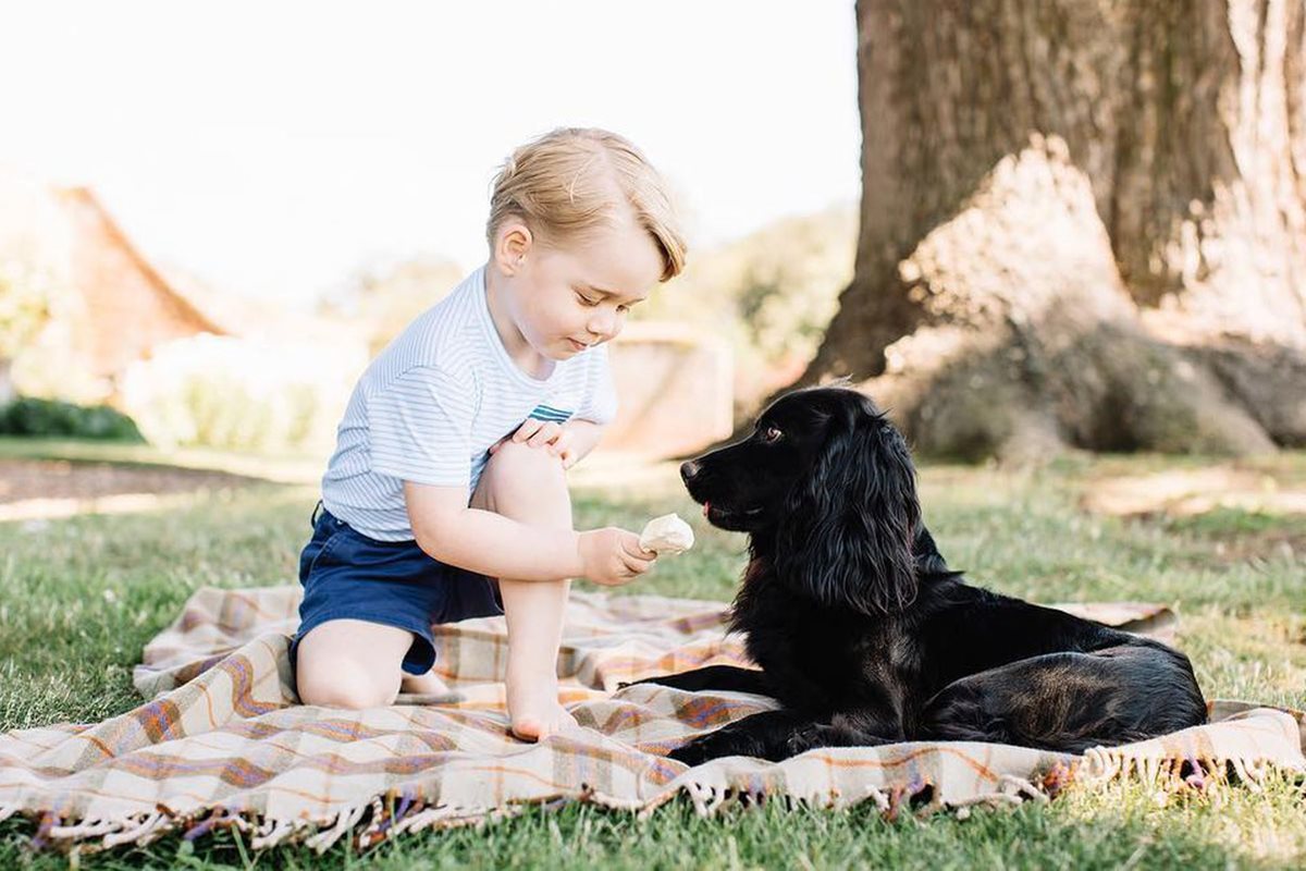 Foto colorida de menino branco e loiro dando comida para um cachorro de pelo preto - Metrópoles