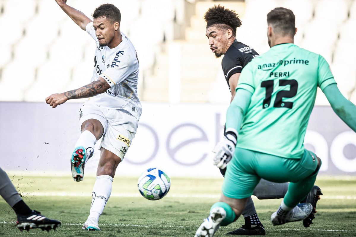 Botafogo reage e empata com o Santos após estar perdendo por 2 x 0