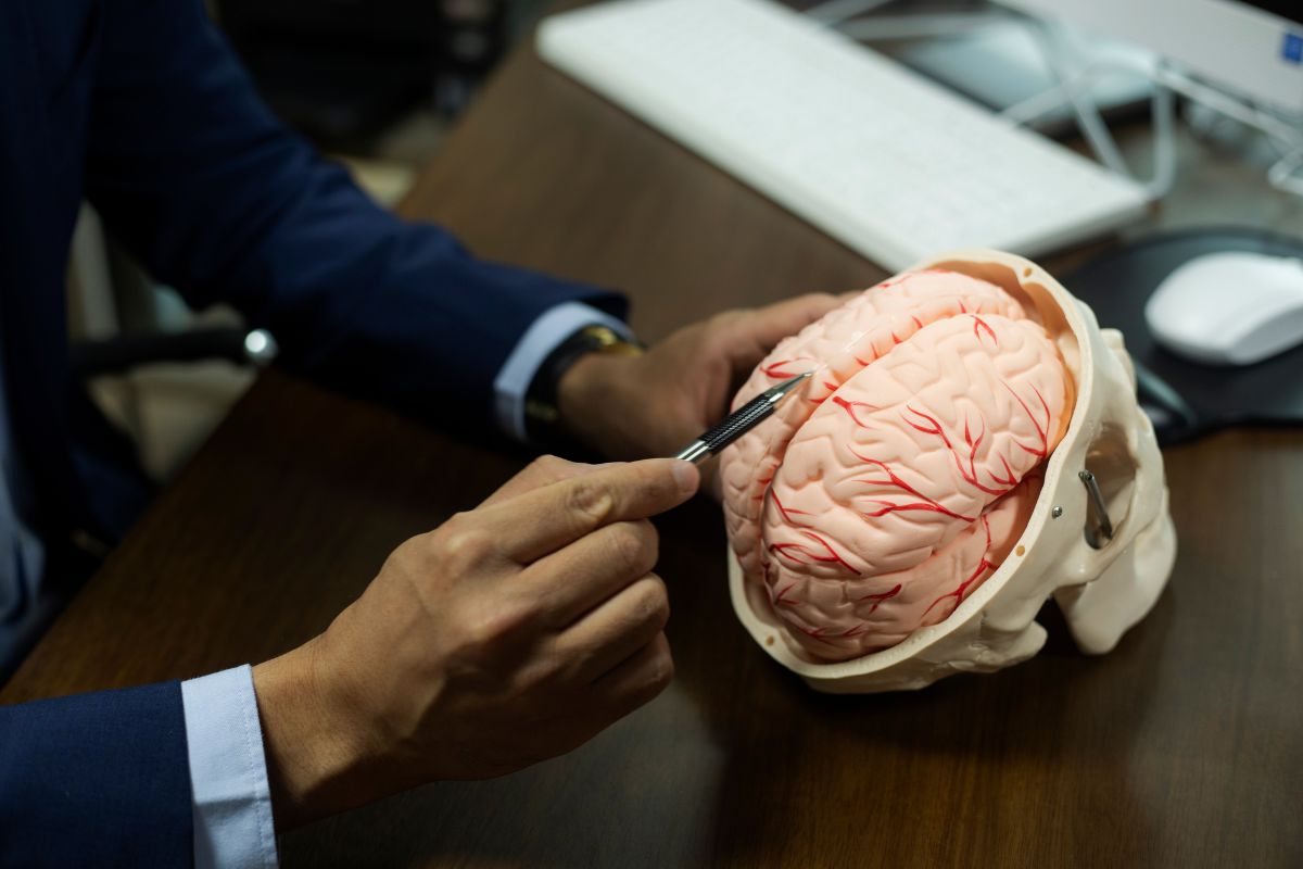 Neurologista indica os melhores jogos para manter o cérebro "afiado"; veja