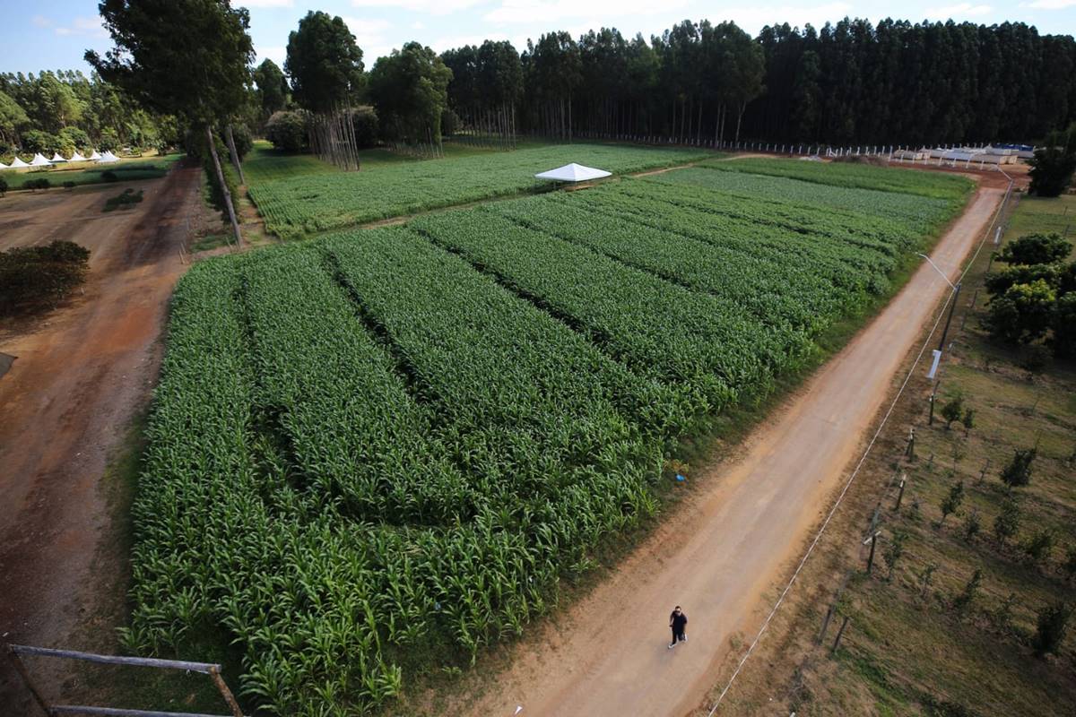Dívidas rurais: quem vai pagar R$140 bi? 🌱💸