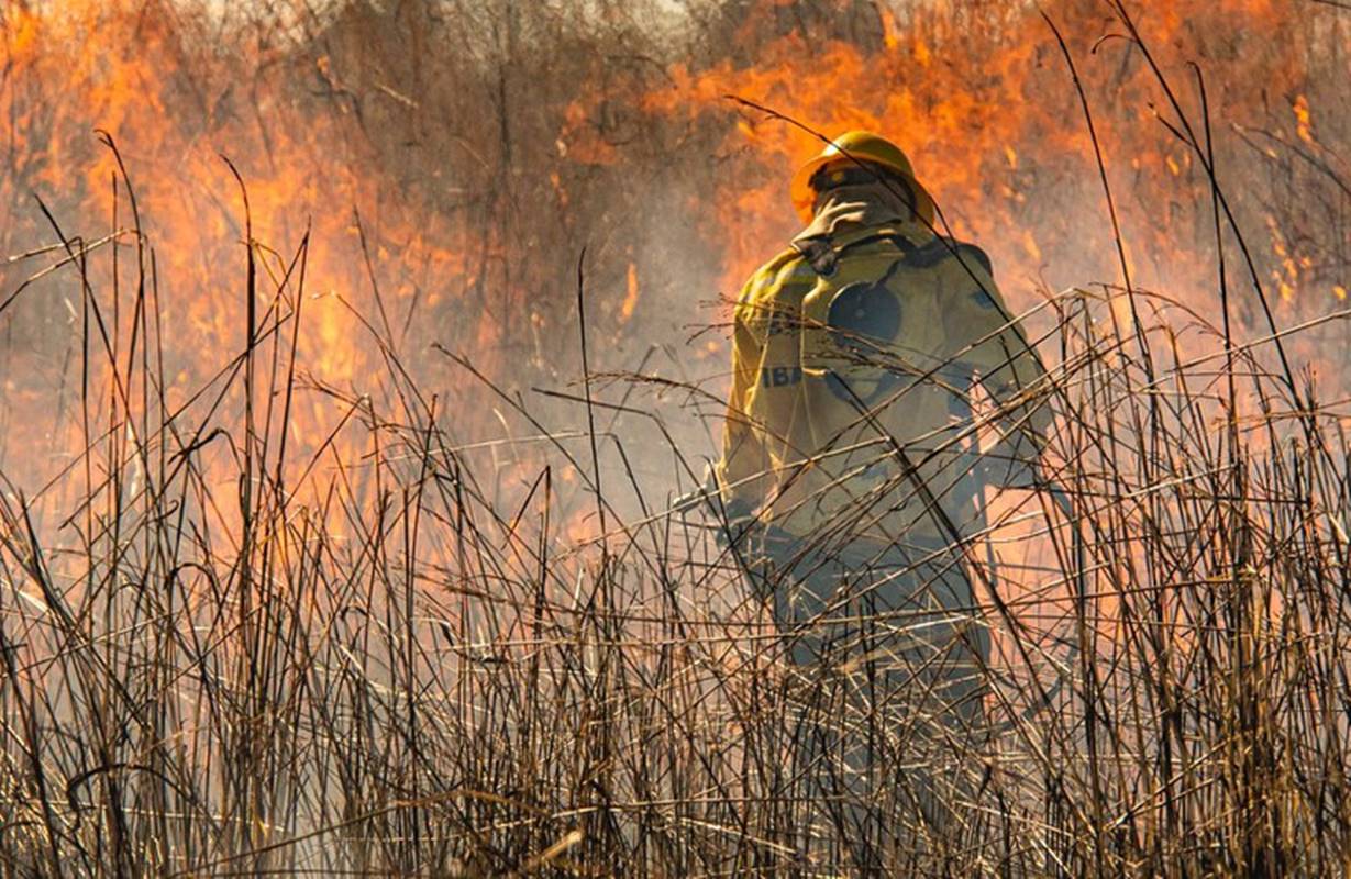 MapBiomas: 64% da área queimada desde 1985 já pegou fogo mais de 1 vez