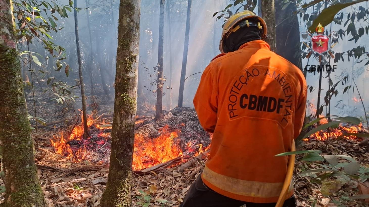 MapBiomas: 64% da área queimada desde 1985 já pegou fogo mais de 1 vez 30 Queimada próxima ao aeroporto