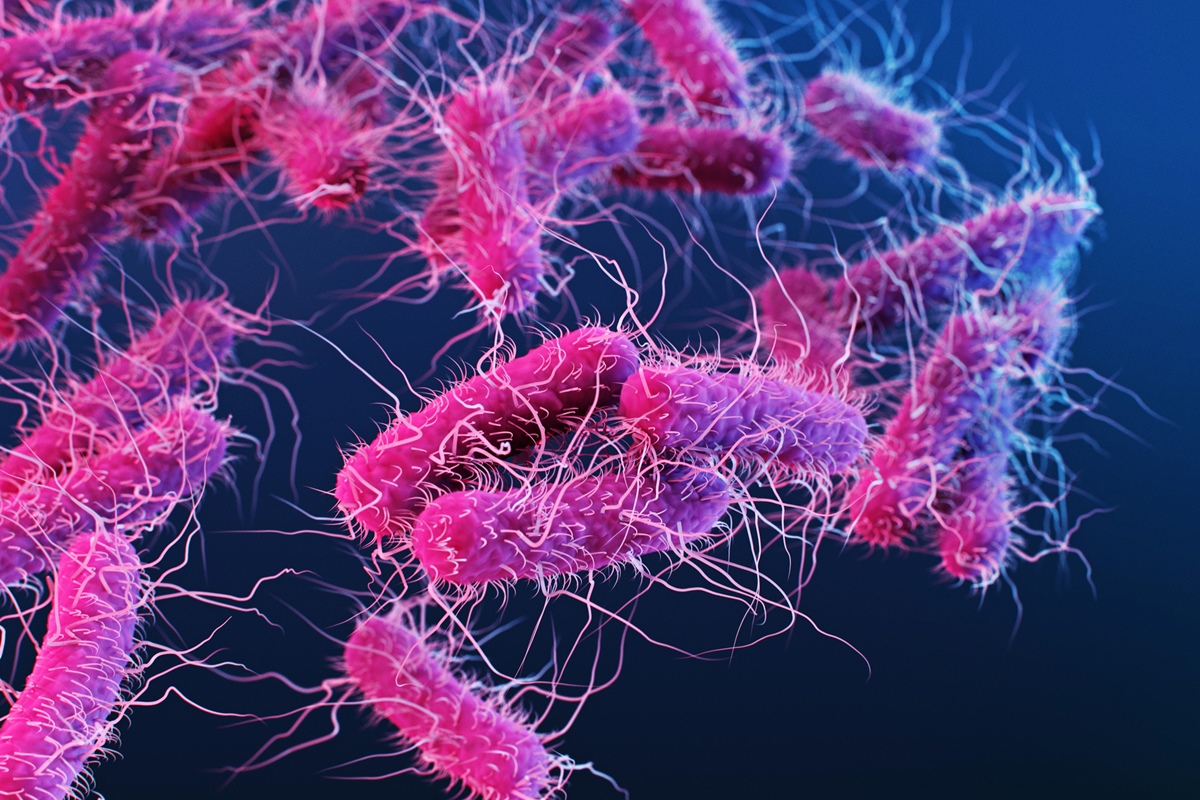 USP cria teste inédito para identificar superbactérias em 6 horas