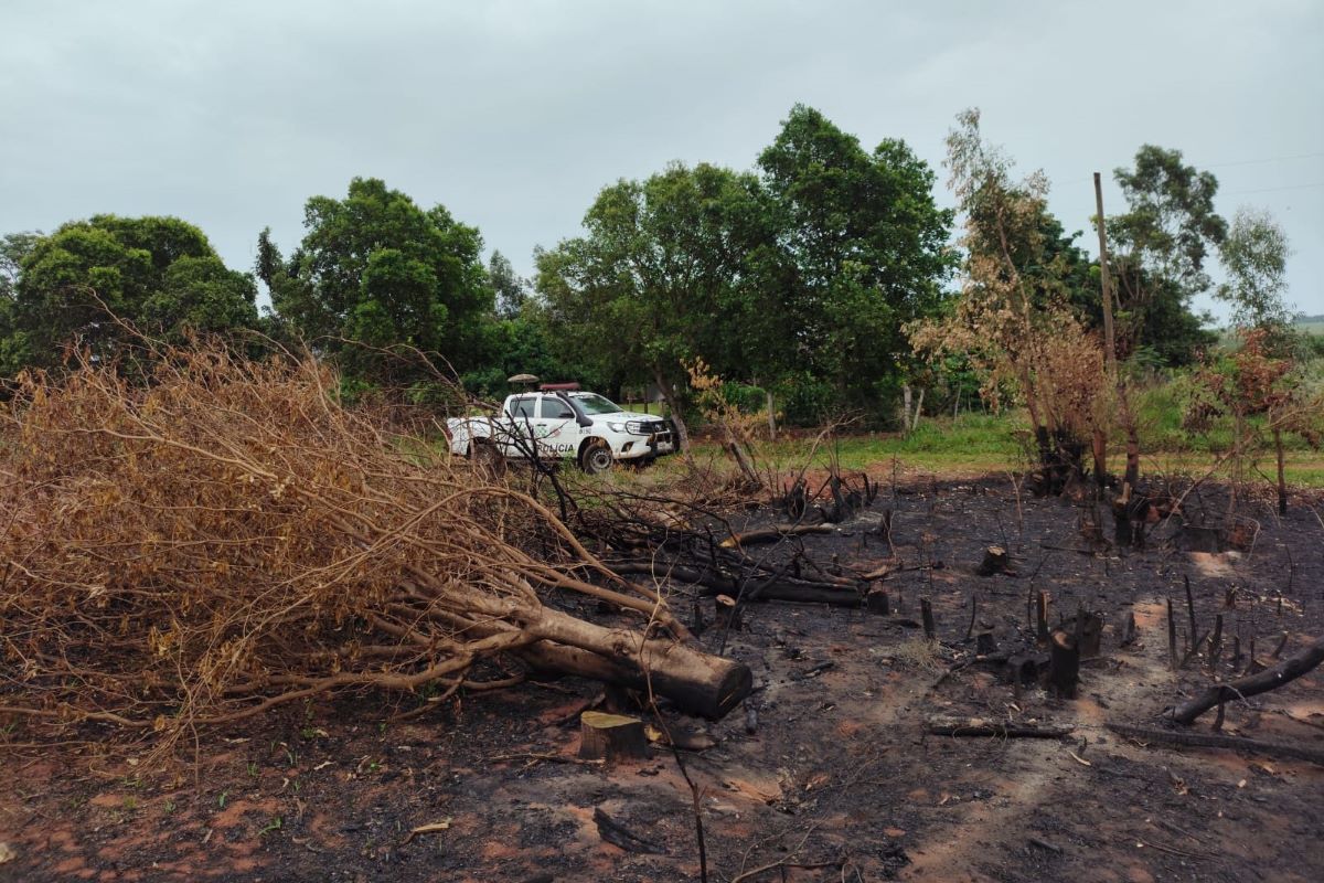 MapBiomas: 64% da área queimada desde 1985 já pegou fogo mais de 1 vez 29 Queimada no Teodoro
