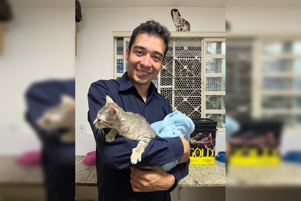 TJDFT adia julgamento de recurso contra psicológo acusado de matar 17 gatos