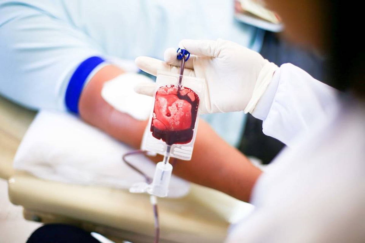 Campanha de Coleta de Sangue Atraí Doadores em Taguatinga