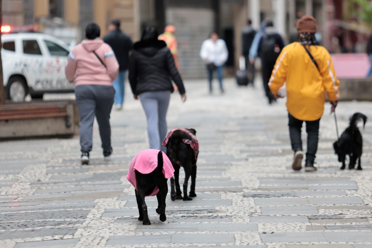 Domingo marca o dia mais frio do ano em SP e tem maior temperatura à 0h