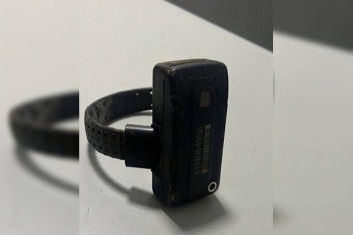 CCJ da Alerj aprova tornozeleira rosa para agressores de mulheres 11 Tornozeleira eletrônica