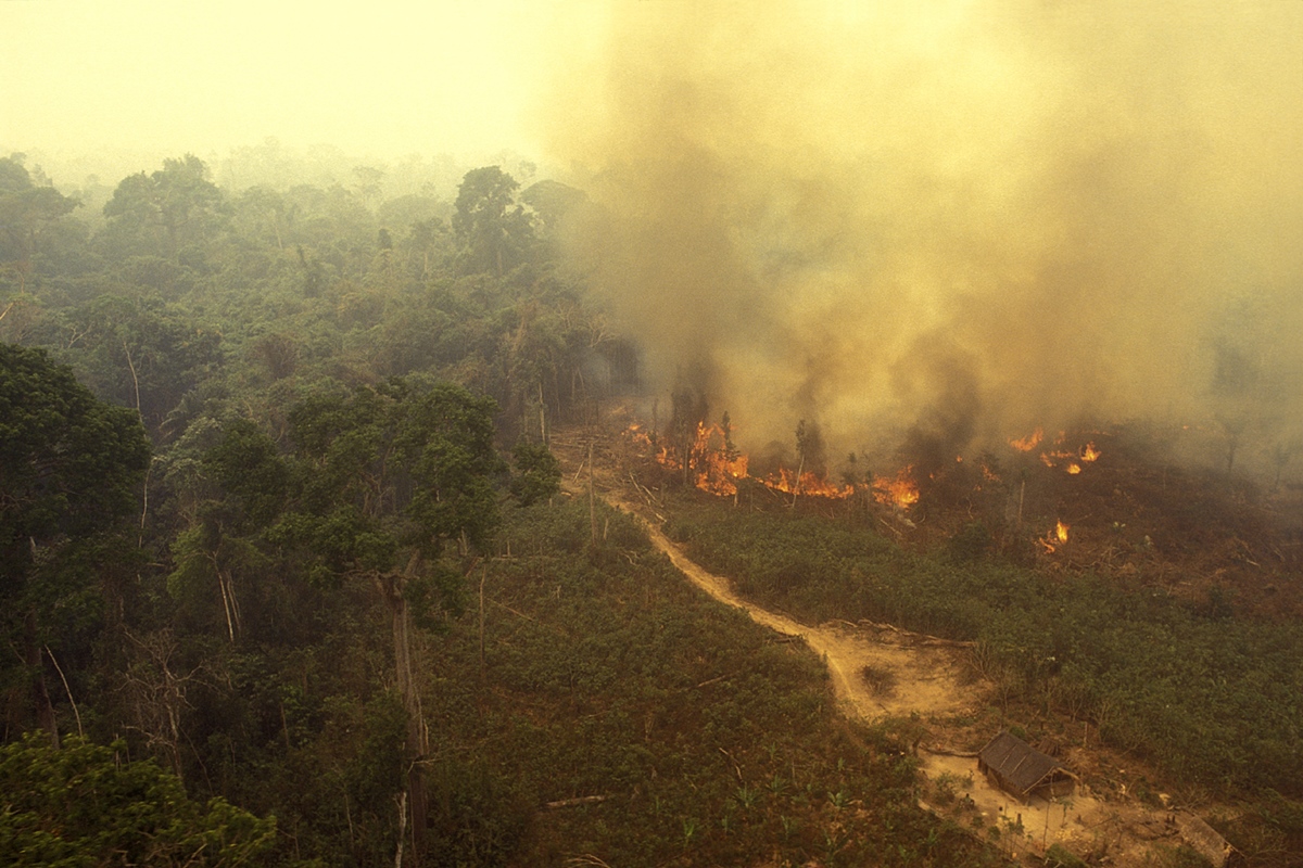 IA contra o fogo: tecnologia prevê queimadas na Amazônia 14 dias antes 13 Incêndio na Amazônia