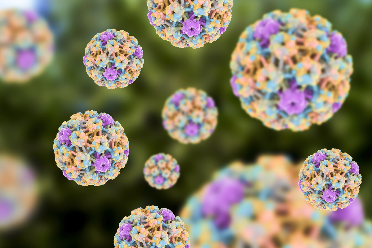 Falta de método de detecção dificulta a identificação de HPV em homens