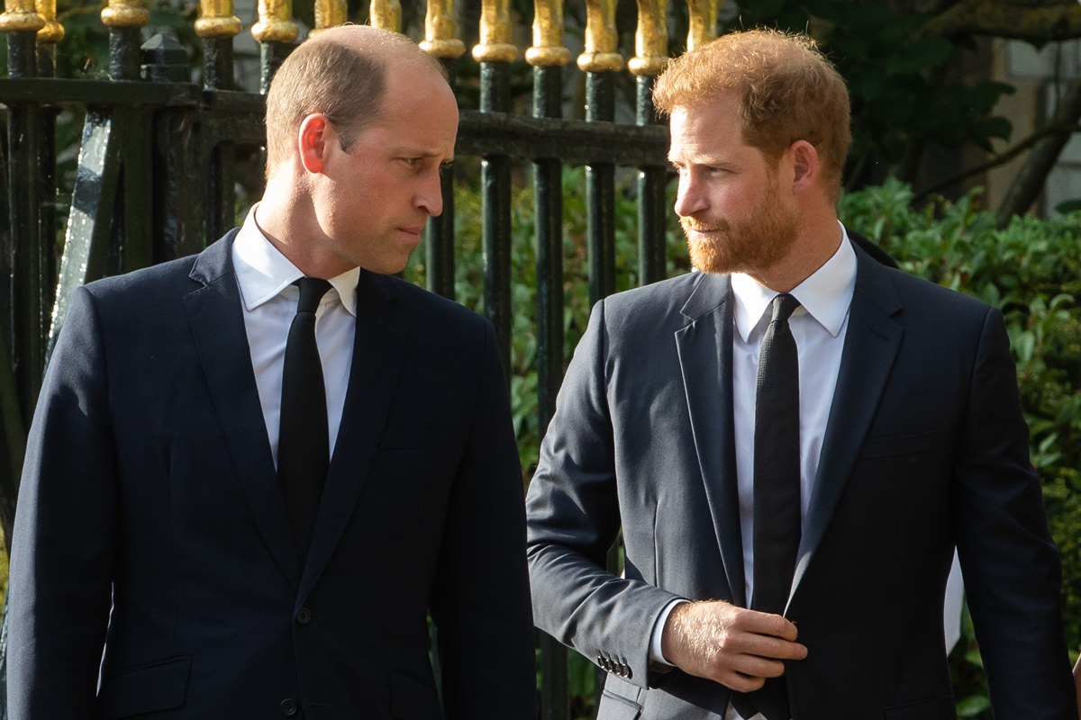 William e Harry