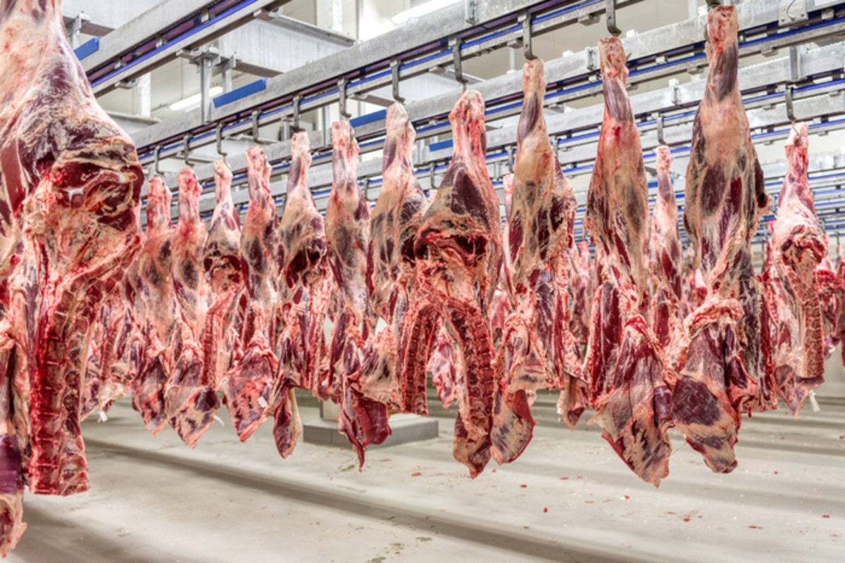 União Europeia suspende importação de carnes, ovos e mel do Brasil