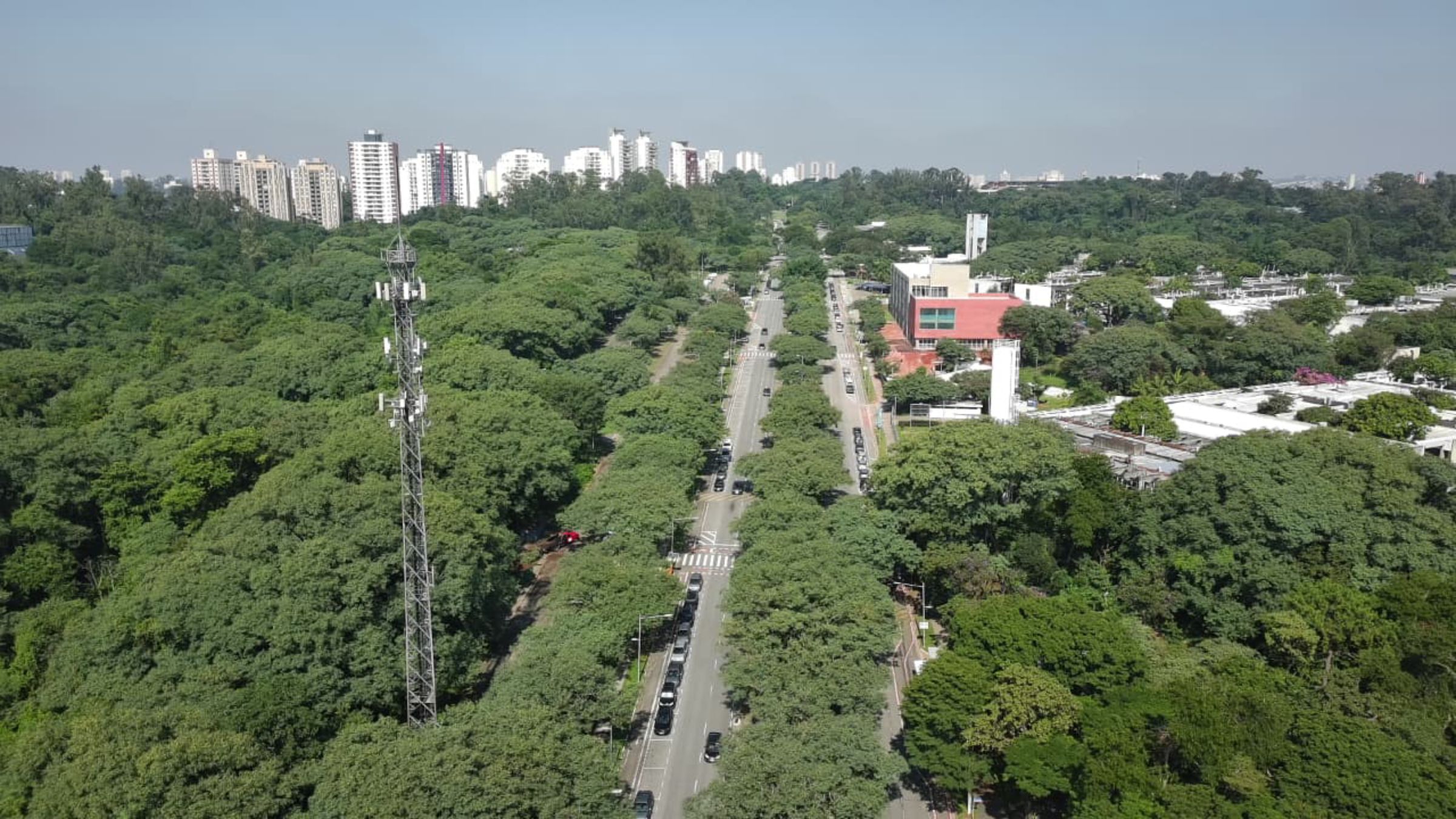 Fotografia colorida mostrando corredor verde-Metrópoles