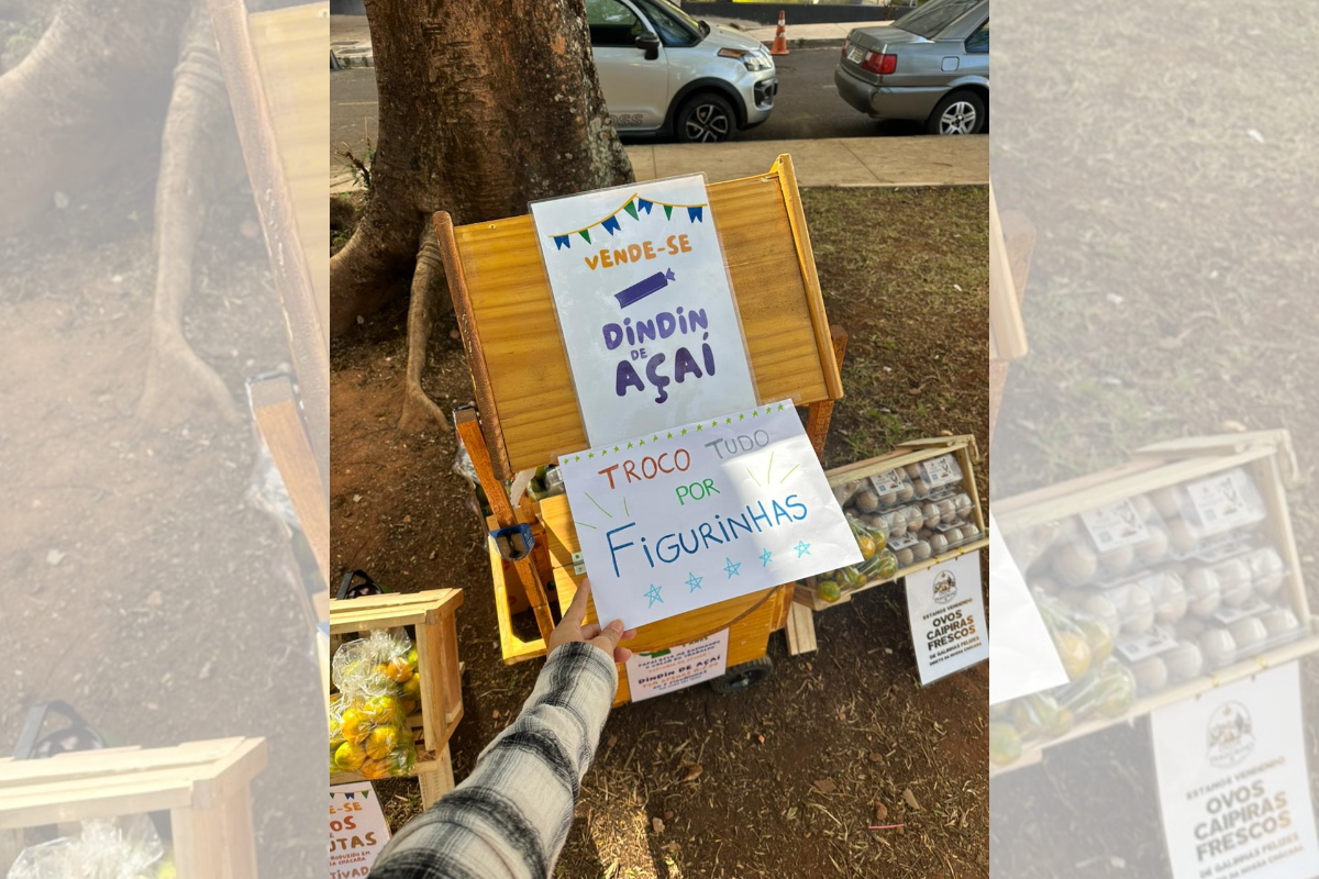 Brasiliense de 4 anos troca frutas e até ovos por figurinhas da Copa