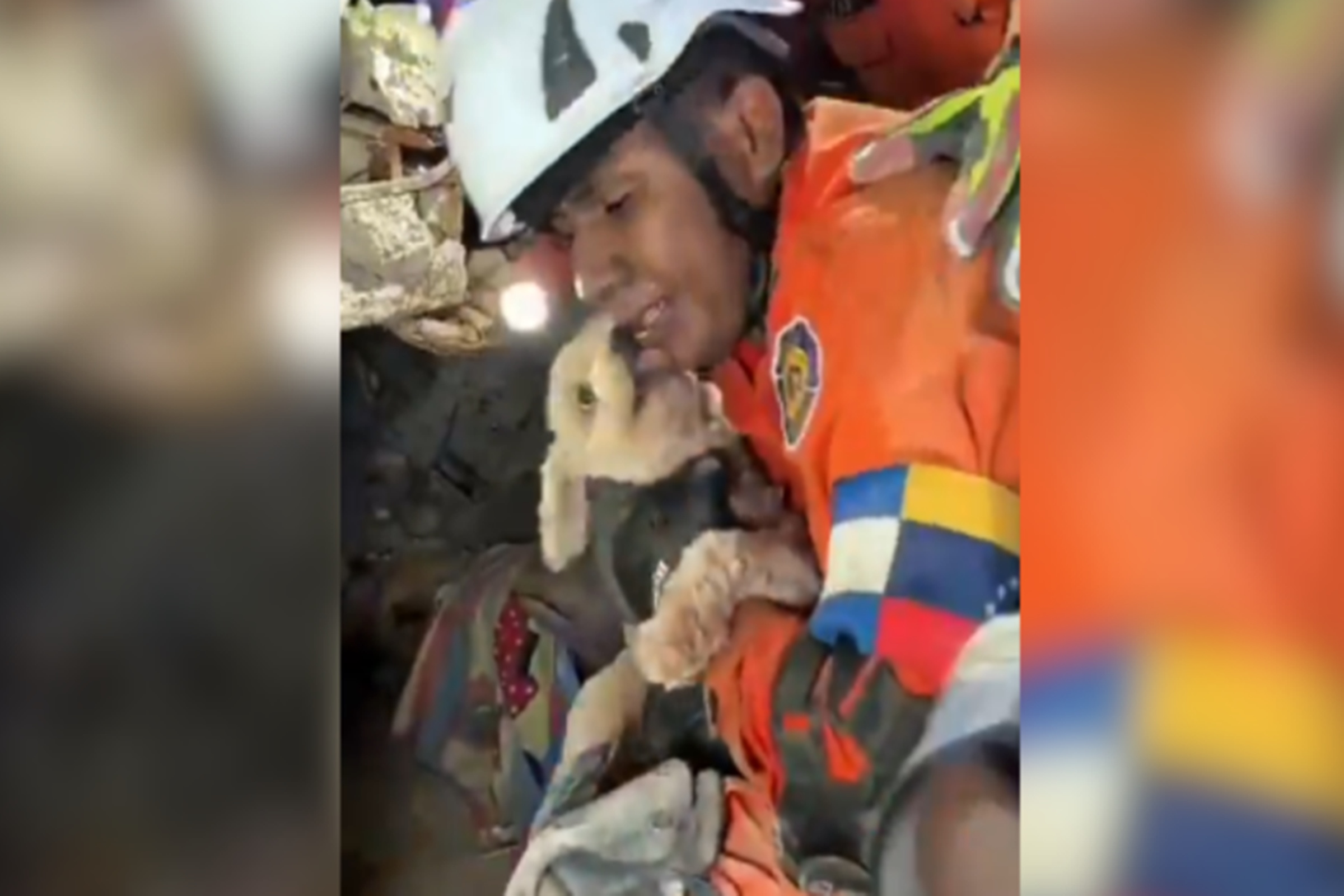 Cadela é resgatada com vida após cinco dias sob escombros na Venezuela