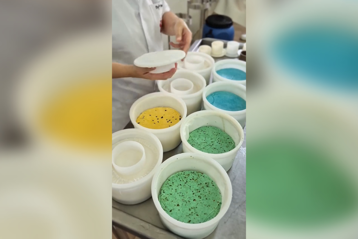 queijo com as cores da bandeira do Brasil