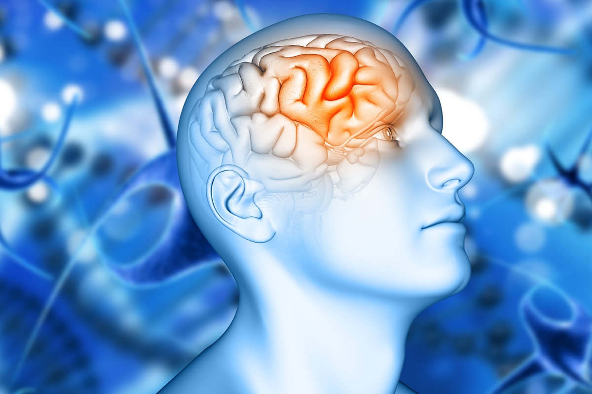Proteína que acelera o desenvolvimento do Alzheimer é identificada