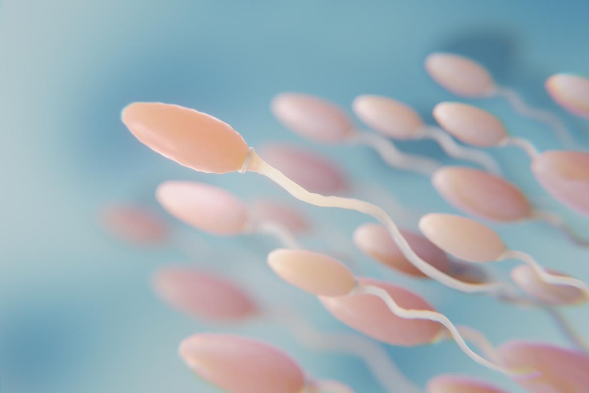 Torneio de corrida de espermatozoides premiará vencedor com R$ 517 mil
