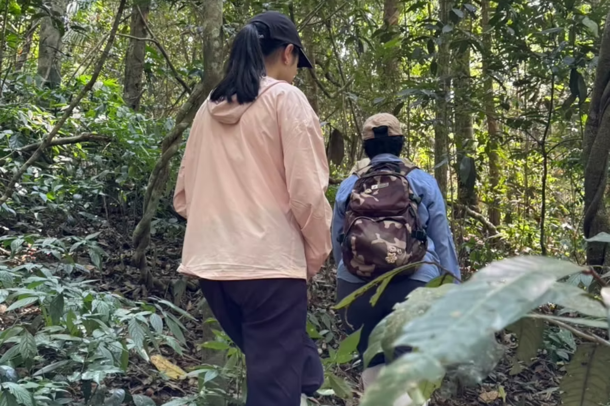 Estudante recebe prêmio por transformar plástico em ninhos para aves