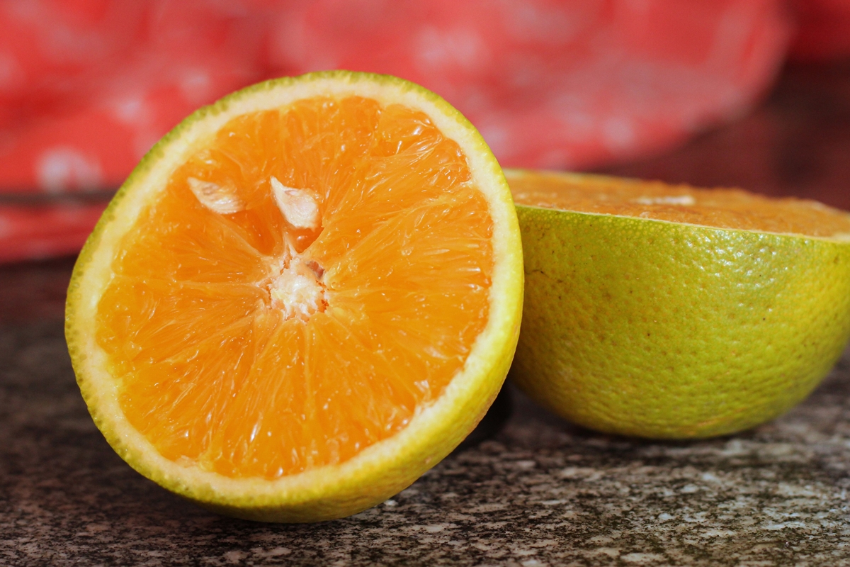 Foto colorida de laranja - Metrópoles