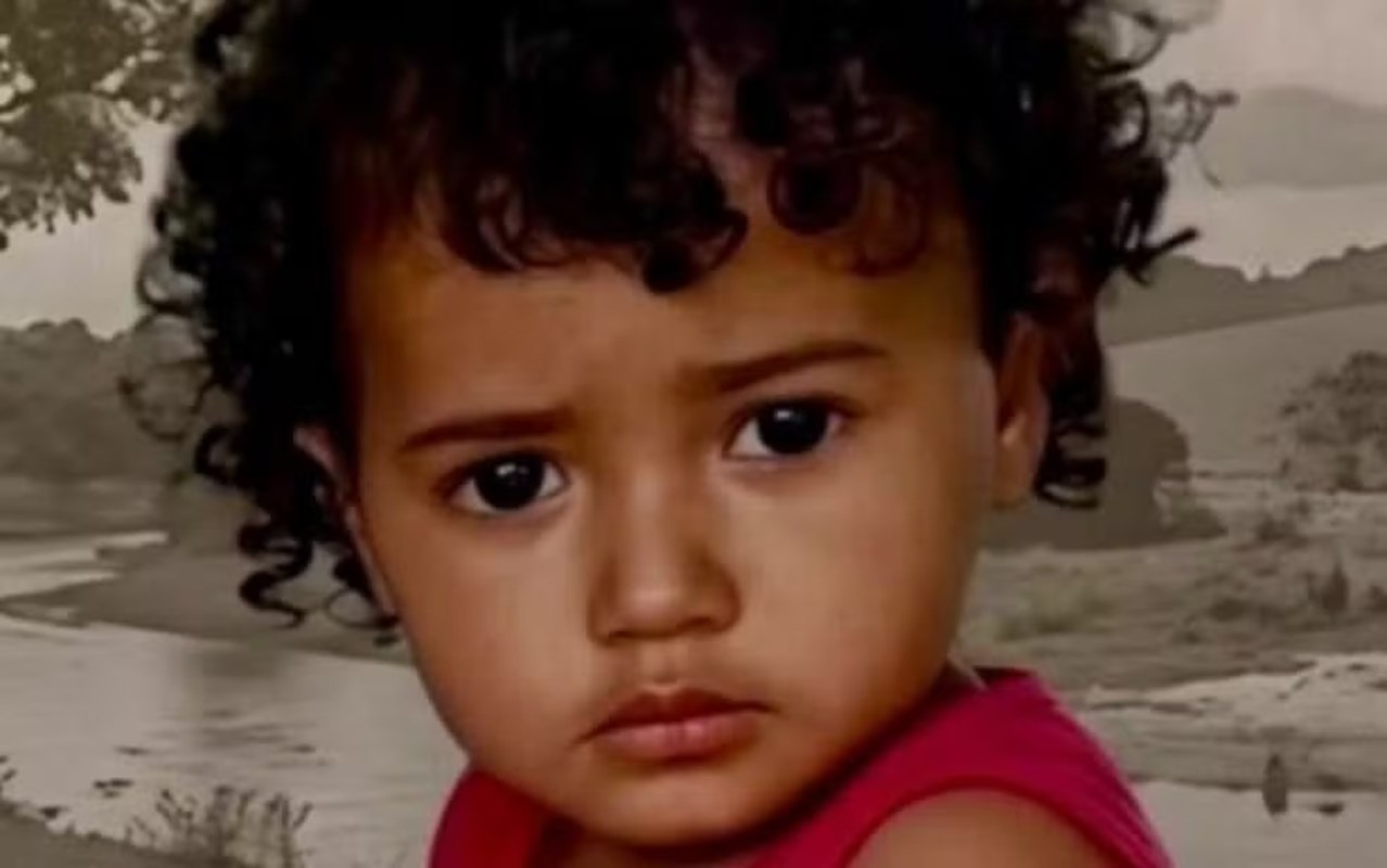 Menina de 2 anos desaparece em fazenda com mata fechada em Goiás