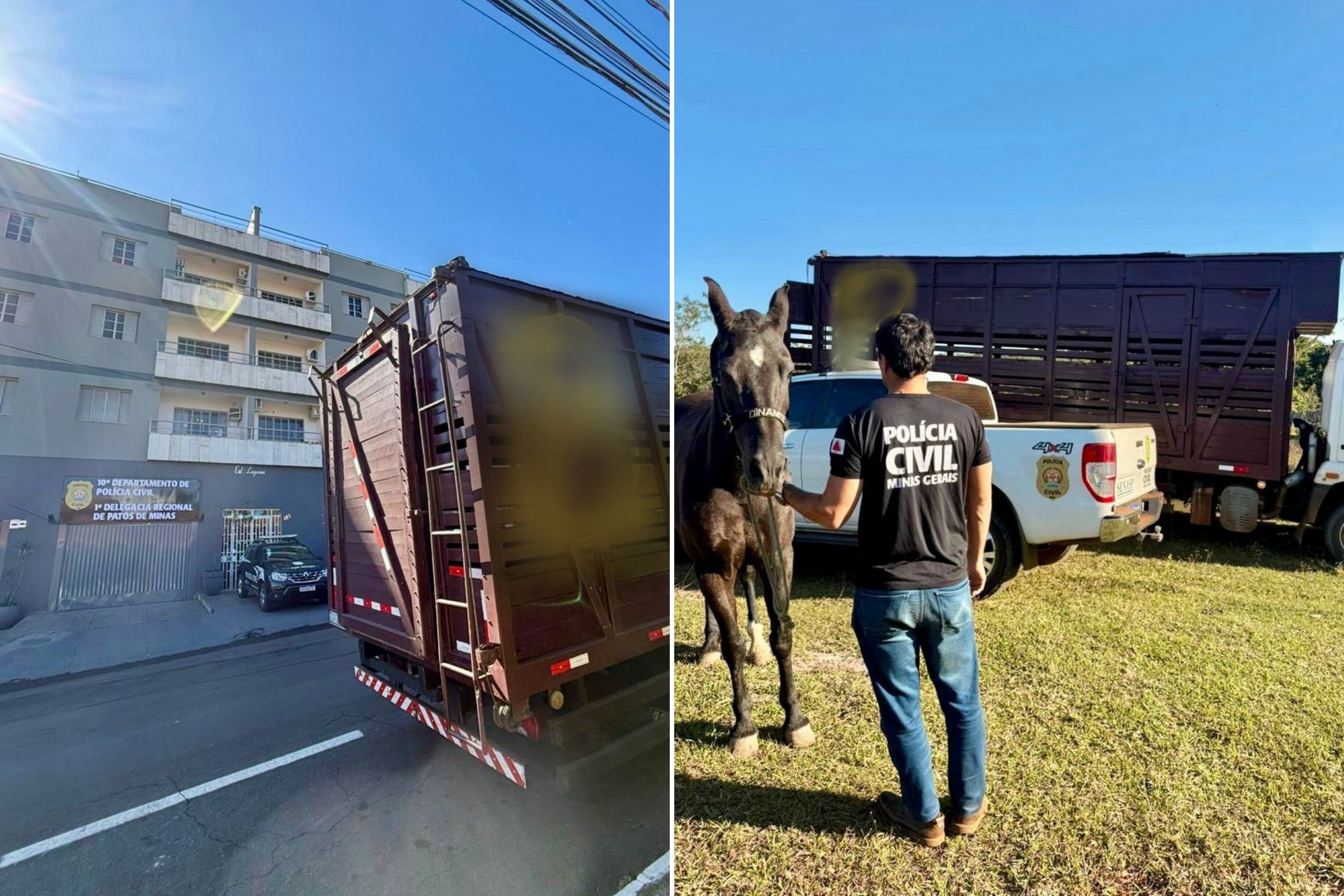 agente polícia civil MG com a égua mangalarga