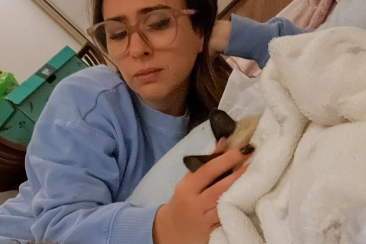 Tatá Werneck e Chico em momento comovente