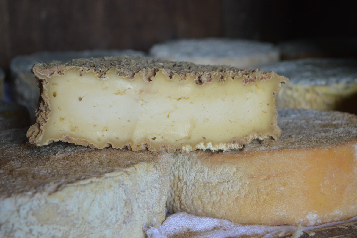 Queijo Frei Rosário