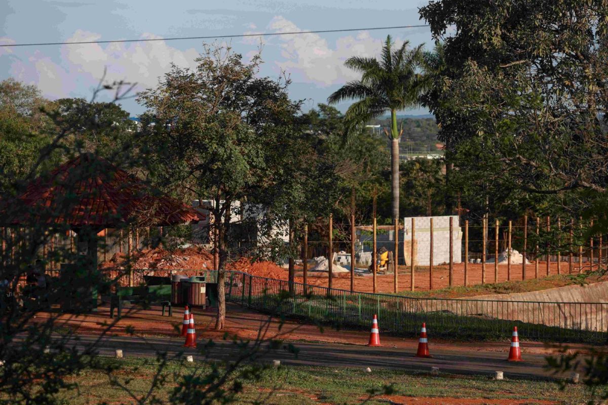 Zoológico de Brasília se prepara para receber girafas