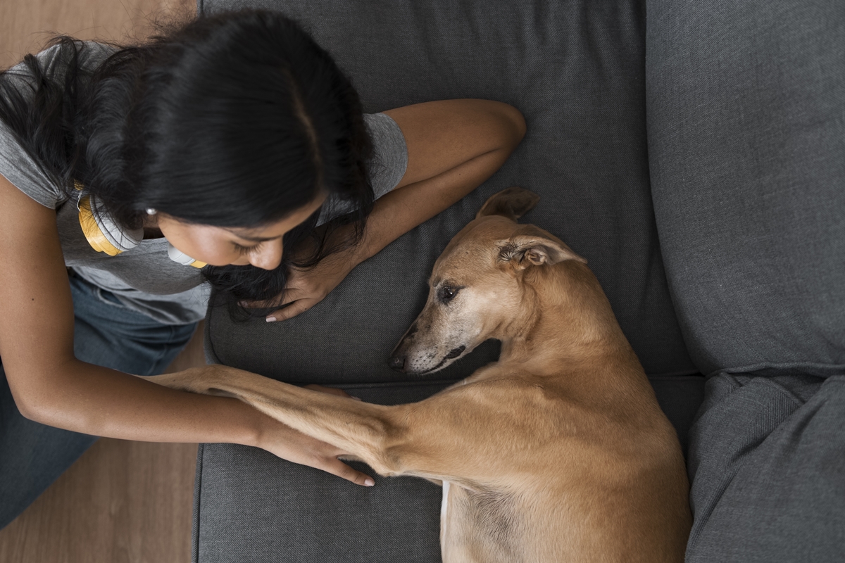 Imagem colorida de tutora fazendo carinho em cachorro