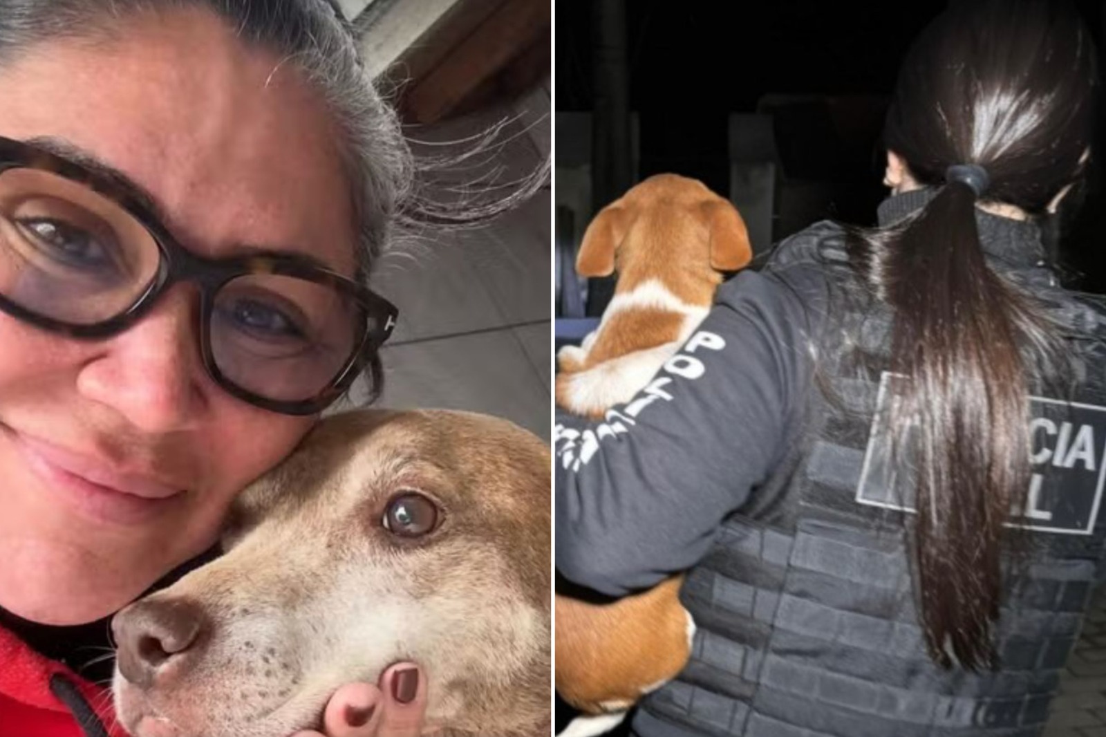 Ex-secretária de Bem-Estar Animal é presa por “eutanásia via Pix”
