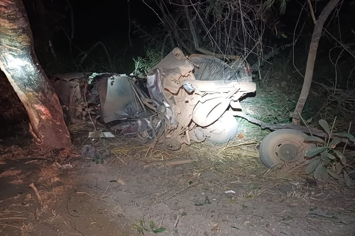 carro batido em árvore