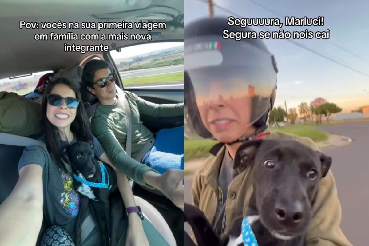 Vira-lata segue casal por 7 km em corrida e acaba sendo adotada