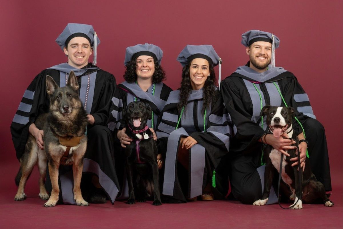 Formandos levam pets de chapeuzinho para celebrar conquista acadêmica
