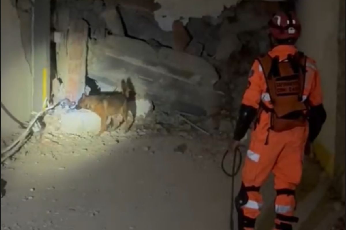 Bombeiros de SP ajudaram a achar 6 vítimas do terremoto na Venezuela 19 Equipe em campo