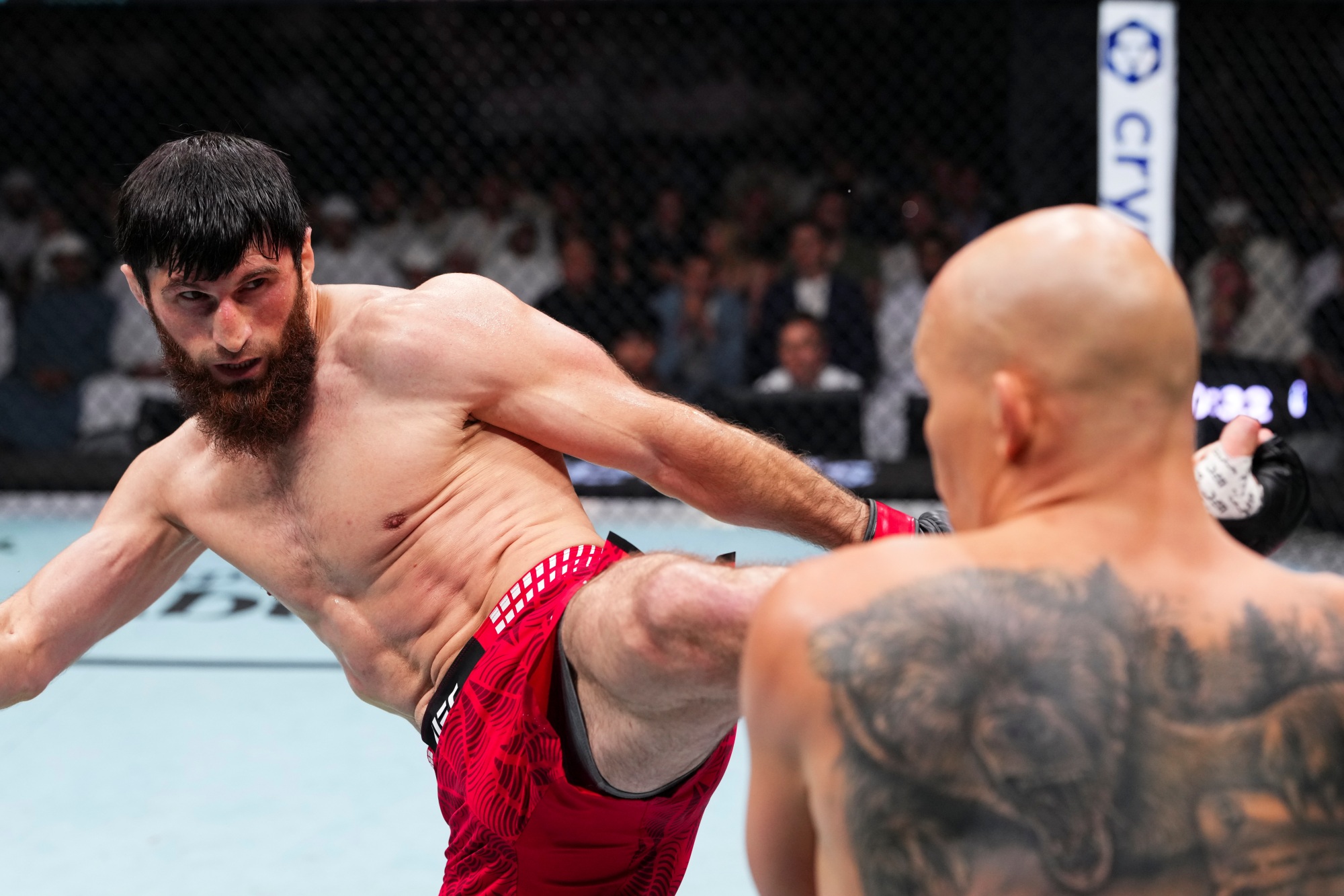 UFC Abu Dhabi: Ankalaev derrota Bogdan Guskov por nocaute técnico