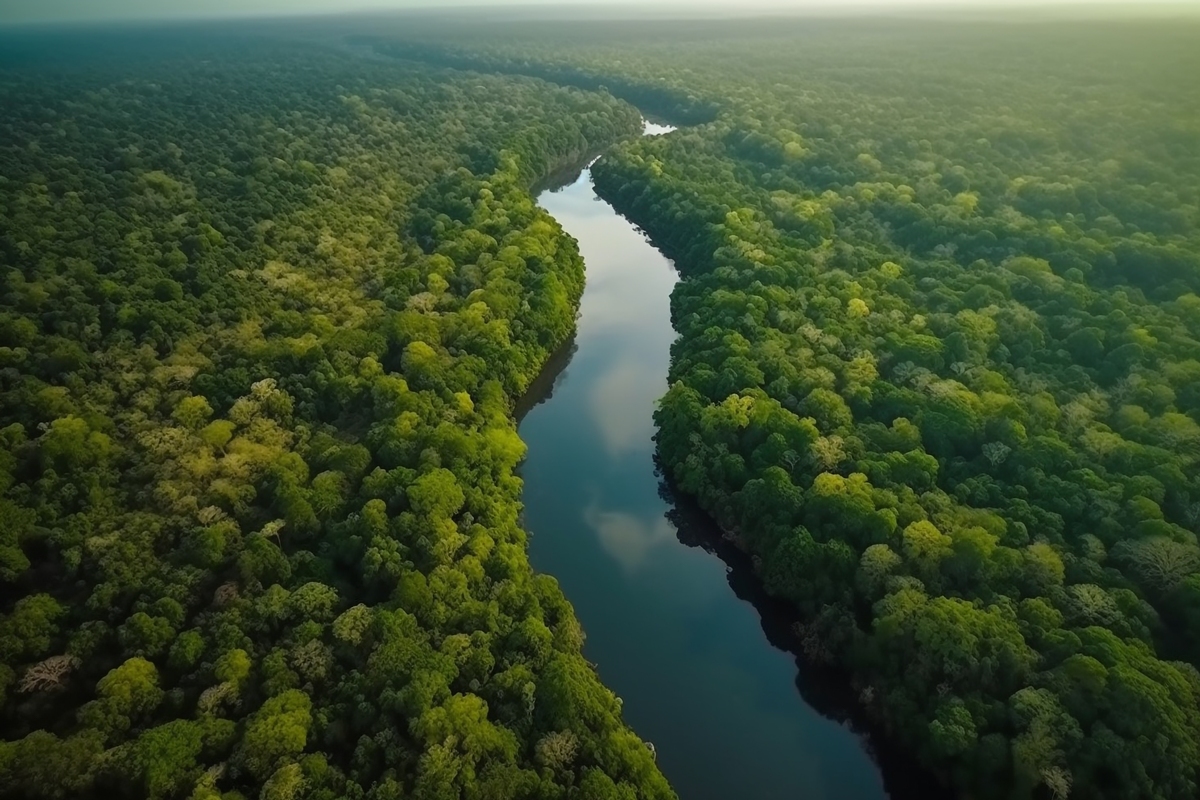 Queda da Vegetação Nativa no Brasil: MapBiomas Revela Dados Alarmantes