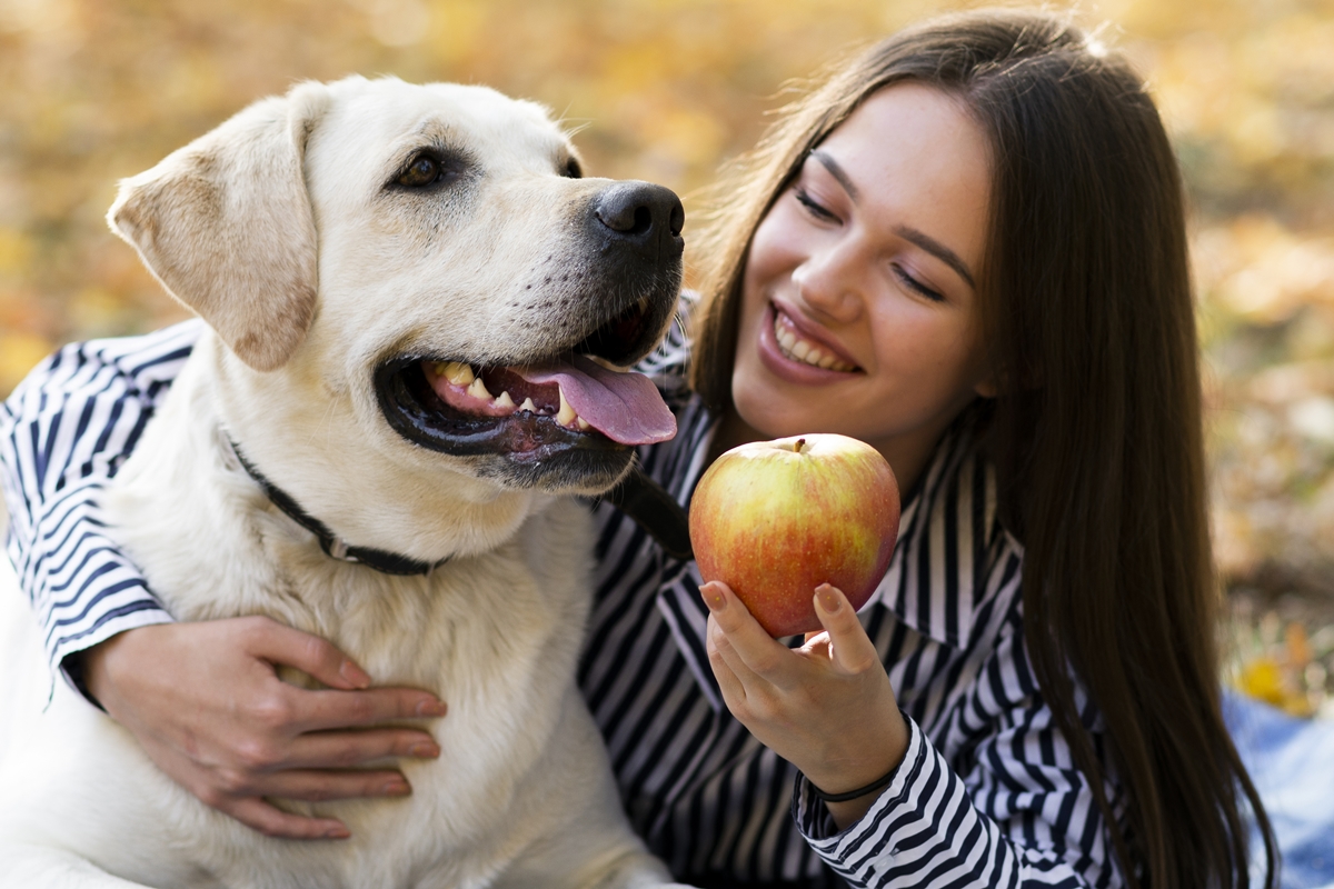 Evite-os: saiba quais alimentos podem causar alergias graves nos pets