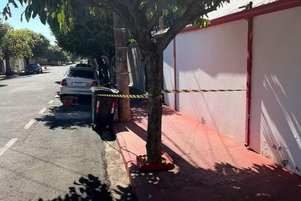Polícia investiga partes de corpo encontradas em lixeiras de São José do Rio Preto
