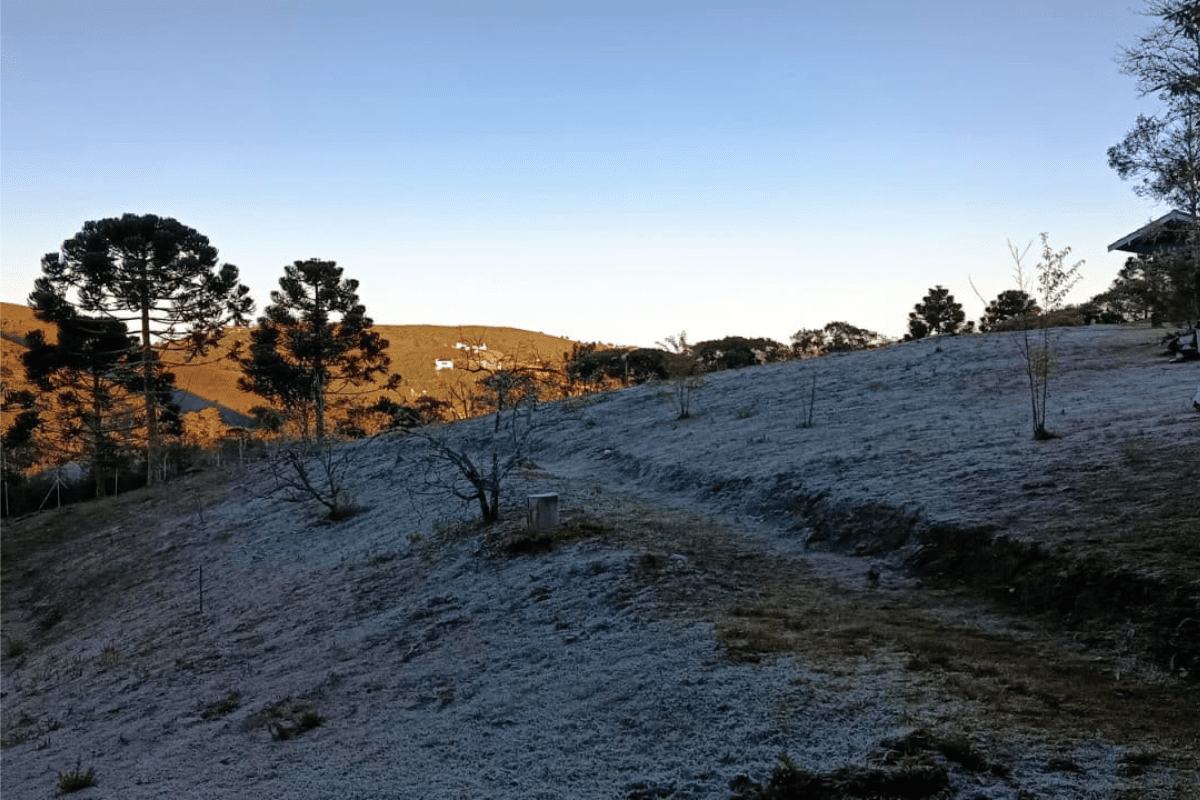 Estado de SP registra recorde de frio em 2026, com mínima de 1,3°C
