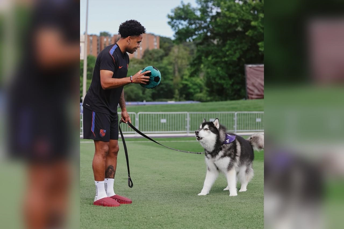 Imagem colorida mostra jogadores dos EUA brincando com cachorros - Metrópoles