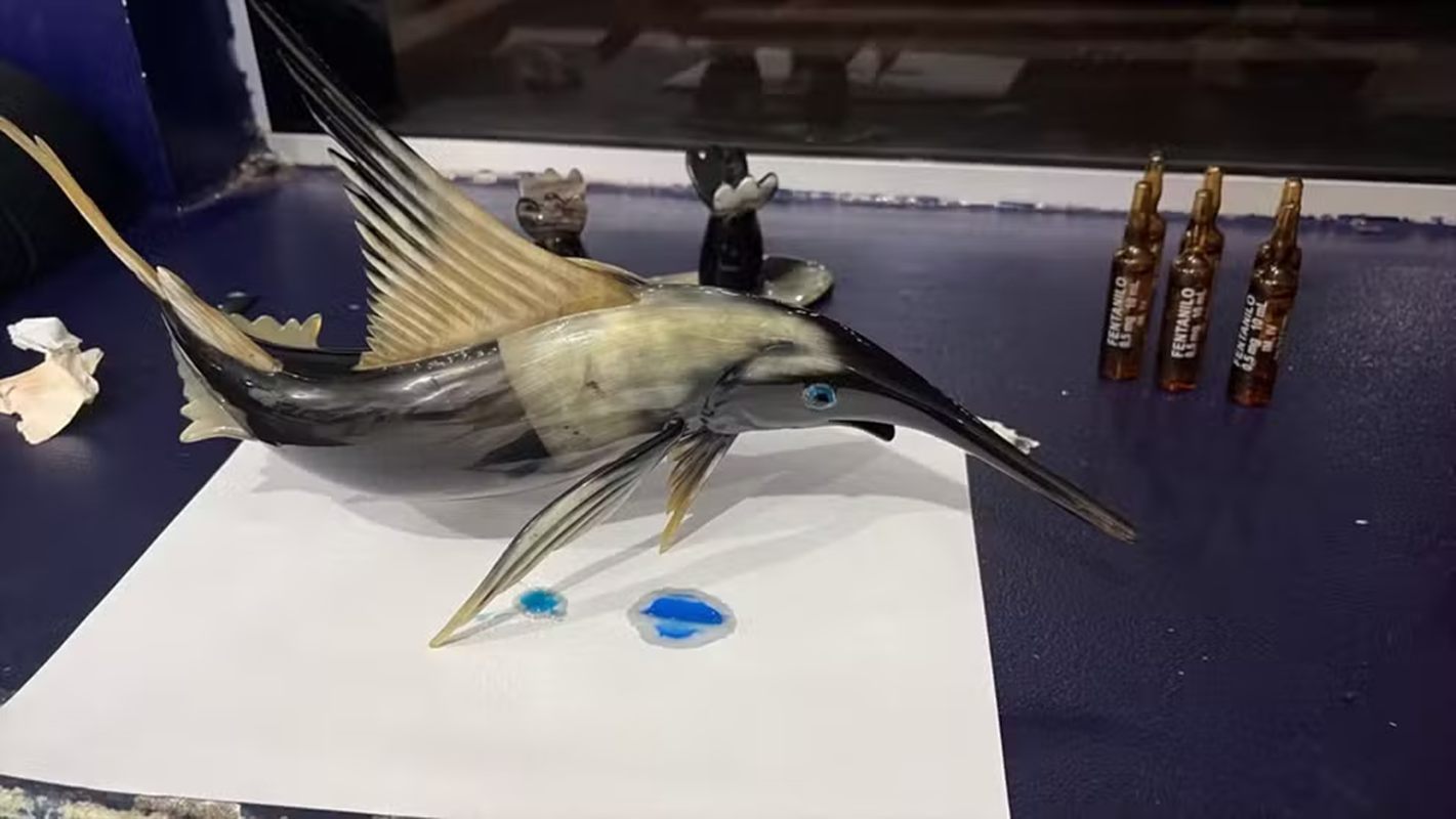 Imagem vinculada ao feed original: Cocaína em peixe: PRF intercepta carga do Peru em ônibus para Brasília