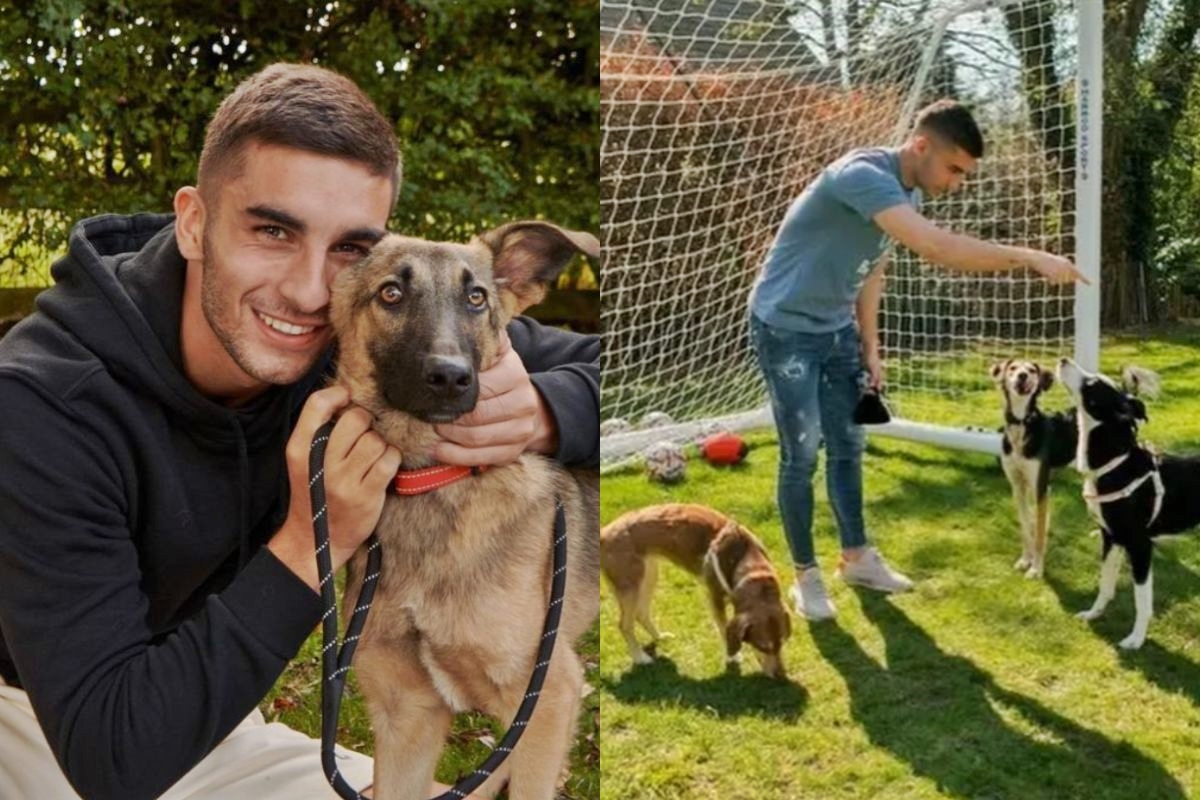 Ferran Torres, craque da Copa, é um grande ativista na causa animal