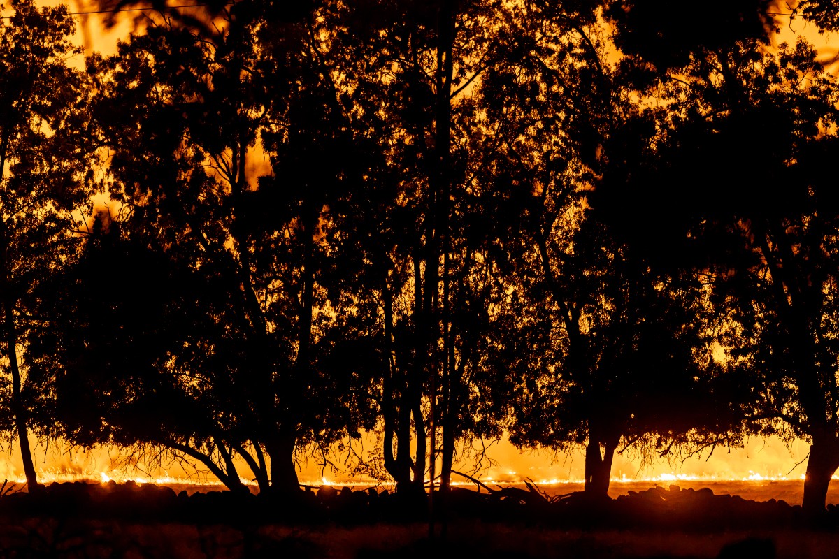Nuvens de fogo e calor extremo: incêndios que castigam a Europa podem durar meses