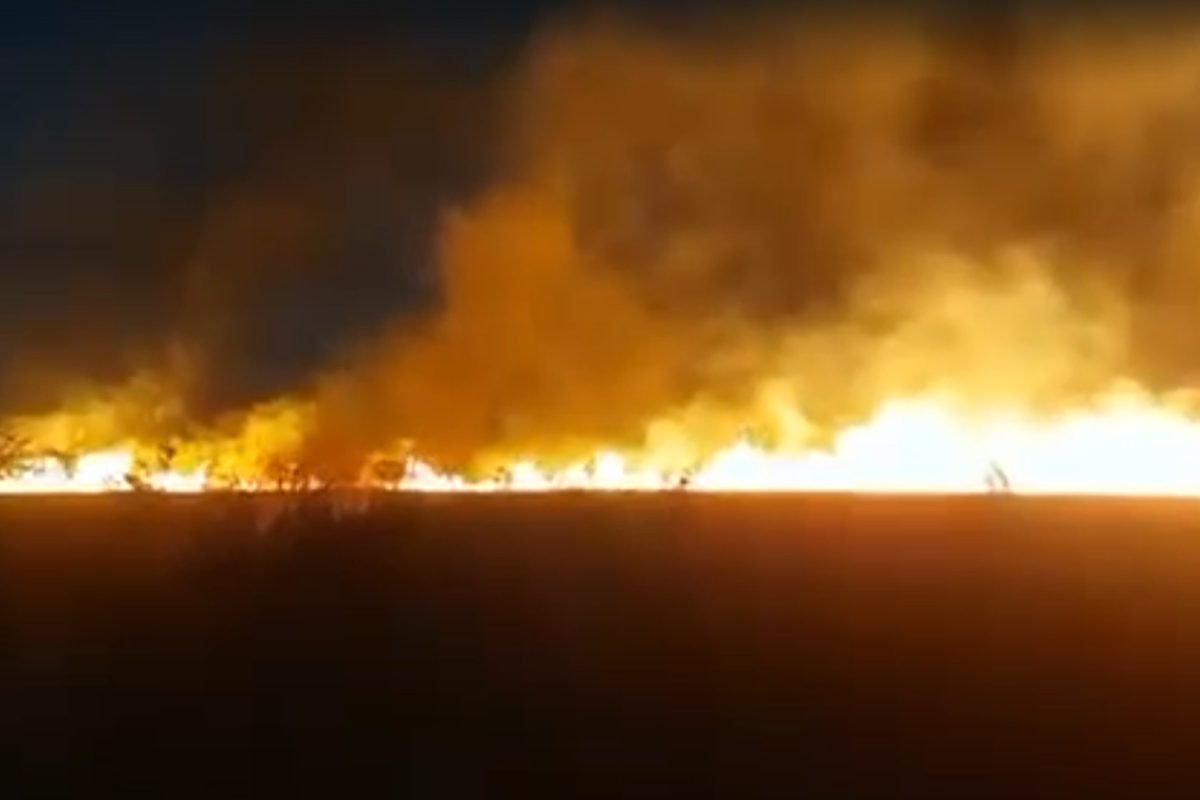 Incêndio de grandes proporções atinge mata próximo a Sobradinho II