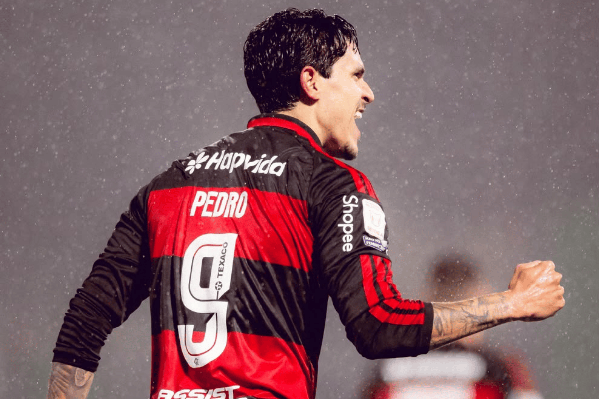 Com dois gols de Pedro, Flamengo goleia a Chapecoense no Brasileirão